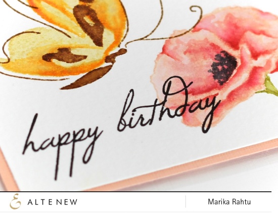 Stamps used: Painted Butterflies, Painted Poppy and Birthday Greetings.